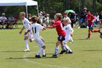 IMG_0259 (cam 0)