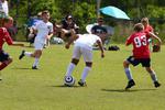 IMG_0280 (cam 0)