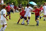 IMG_0282 (cam 0)