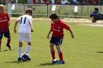 IMG_0295 (cam 0)