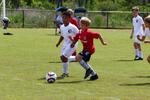 IMG_0303 (cam 0)