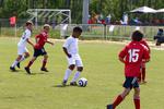 IMG_0328 (cam 0)