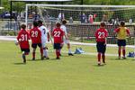 IMG_0333 (cam 0)