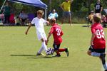 IMG_0352 (cam 0)