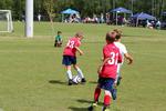 IMG_0384 (cam 0)