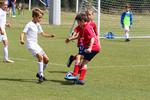 IMG_0391 (cam 0)