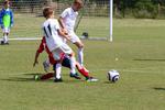 IMG_0395 (cam 0)