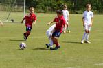 IMG_0401 (cam 0)