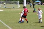IMG_0416 (cam 0)
