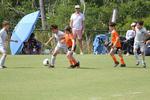 IMG_0038 (cam 0)