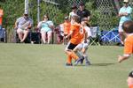 IMG_0042 (cam 0)