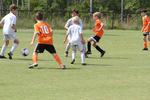IMG_0047 (cam 0)