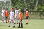IMG_0052 (cam 0)