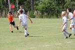 IMG_0099 (cam 0)