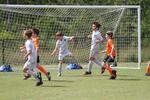 IMG_0101 (cam 0)