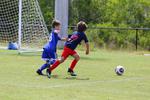 IMG_0015 (cam 0)