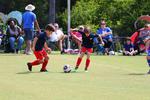 IMG_0024 (cam 0)