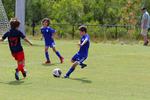 IMG_0069 (cam 0)