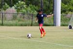 IMG_0133 (cam 0)