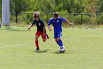 IMG_0149 (cam 0)