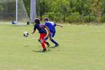 IMG_0155 (cam 0)