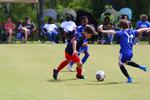 IMG_0156 (cam 0)