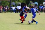 IMG_0157 (cam 0)