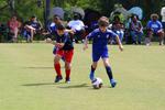 IMG_0161 (cam 0)
