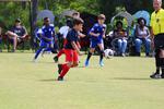 IMG_0172 (cam 0)