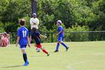 IMG_0182 (cam 0)