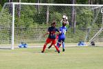 IMG_0204 (cam 0)