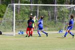 IMG_0205 (cam 0)