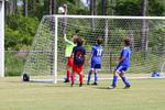 IMG_0207 (cam 0)