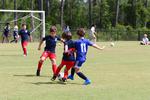 IMG_0213 (cam 0)
