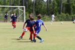 IMG_0214 (cam 0)