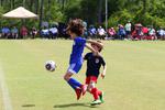 IMG_0215 (cam 0)