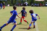 IMG_0220 (cam 0)