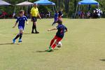 IMG_0222 (cam 0)