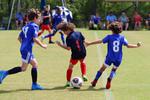 IMG_0223 (cam 0)