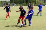 IMG_0231 (cam 0)