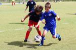 IMG_0232 (cam 0)