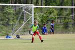 IMG_0235 (cam 0)