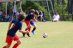IMG_0239 (cam 0)
