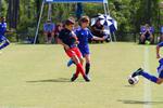 IMG_0242 (cam 0)