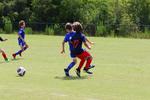IMG_0249 (cam 0)