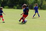 IMG_0250 (cam 0)