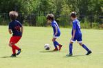 IMG_0254 (cam 0)