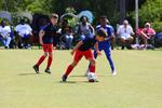 IMG_0258 (cam 0)
