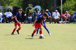 IMG_0259 (cam 0)