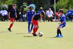 IMG_0260 (cam 0)